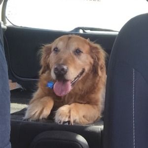 Meet your Posher, Alaina